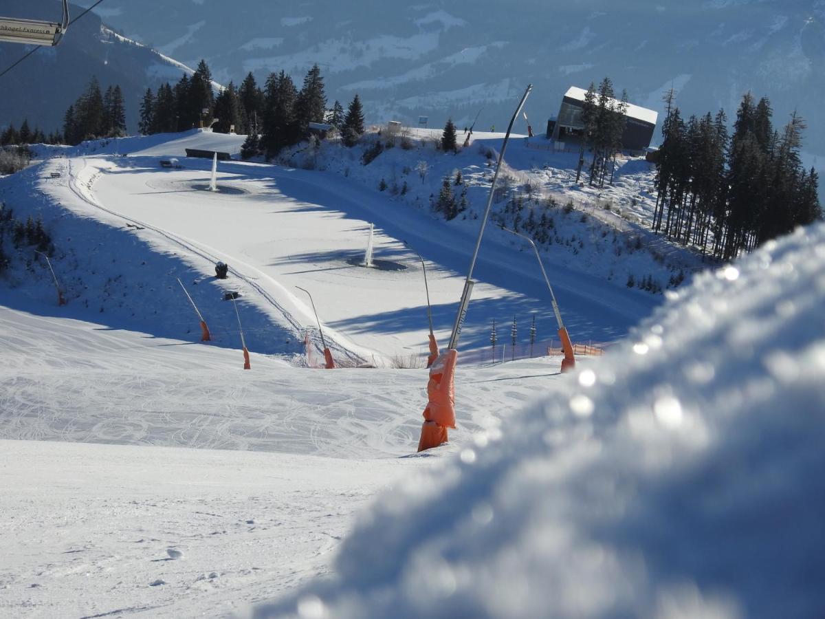 Pension Alpenrose Zell am See Exterior photo