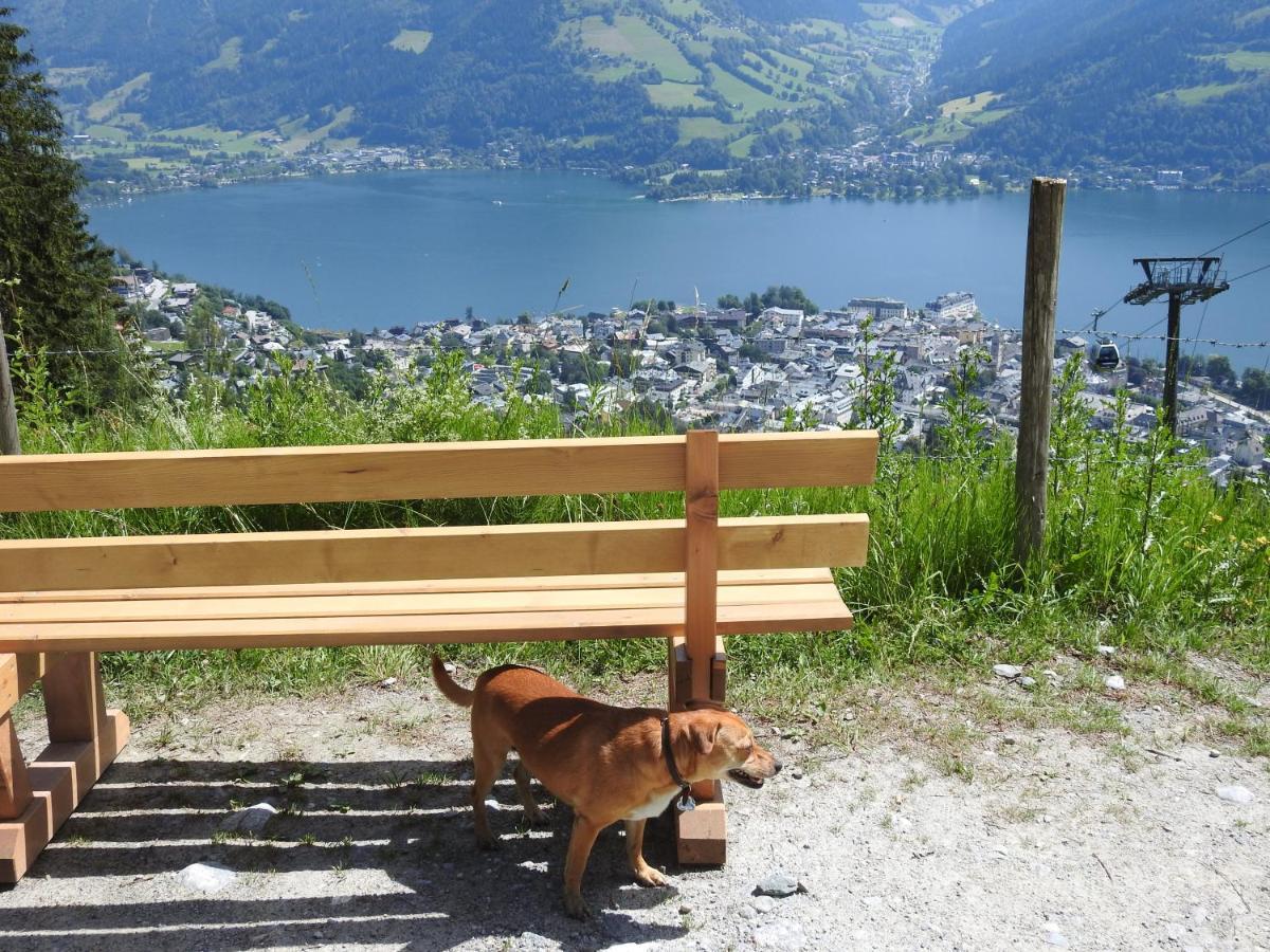 Pension Alpenrose Zell am See Exterior photo