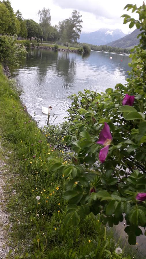 Pension Alpenrose Zell am See Exterior photo